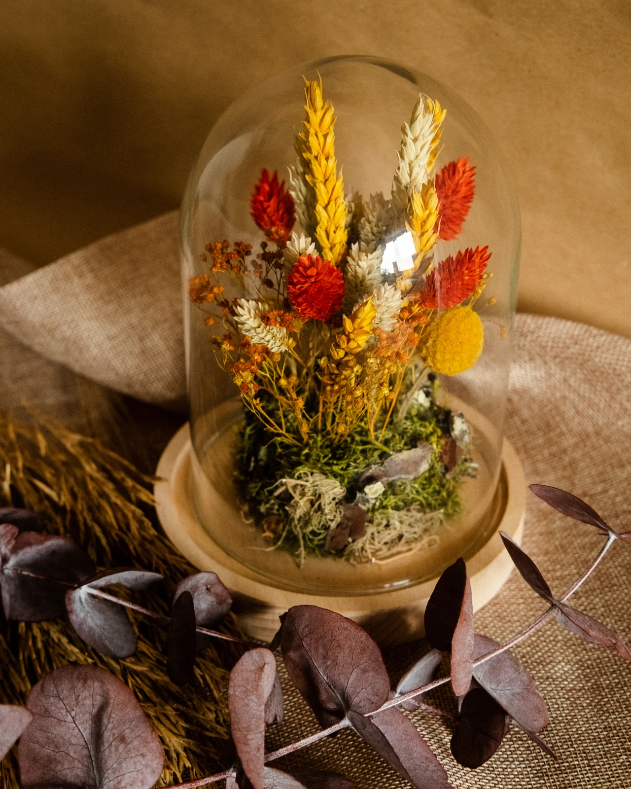 Campânula com flores secas e preservadas em tons outono