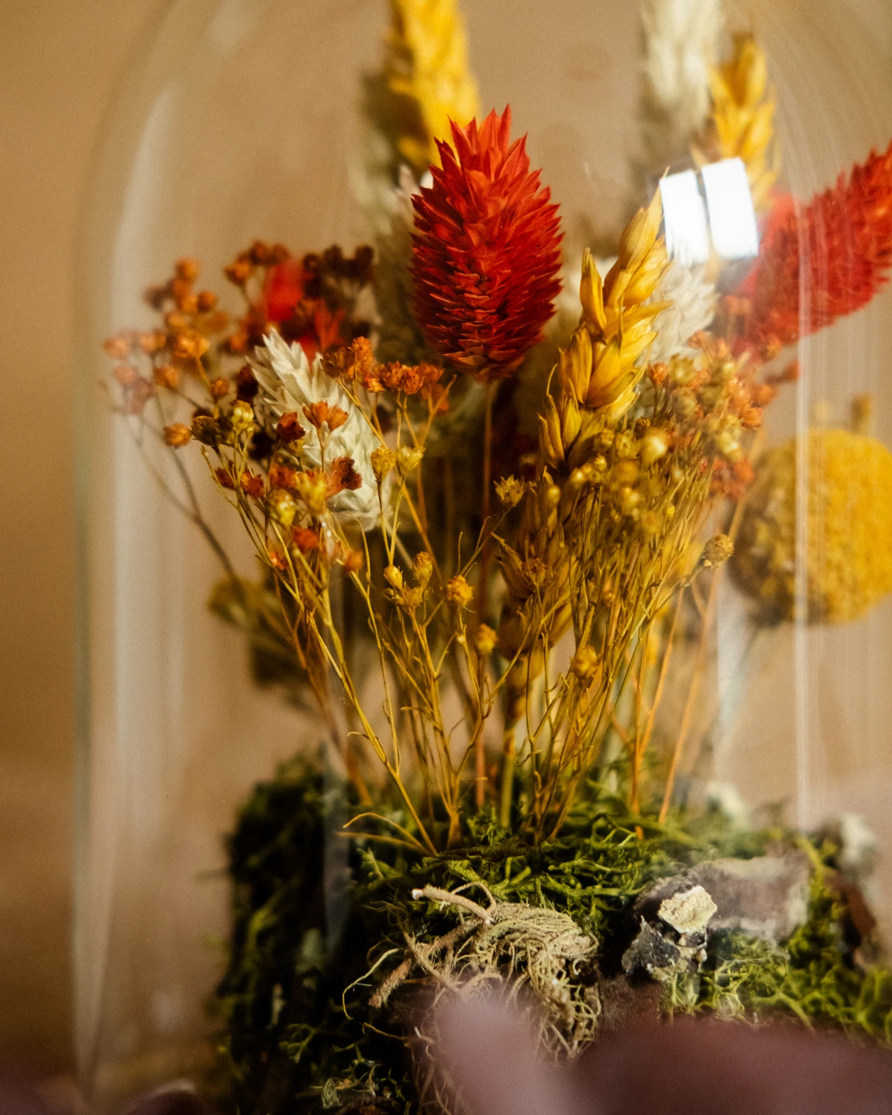 Campânula com flores secas e preservadas em tons outono